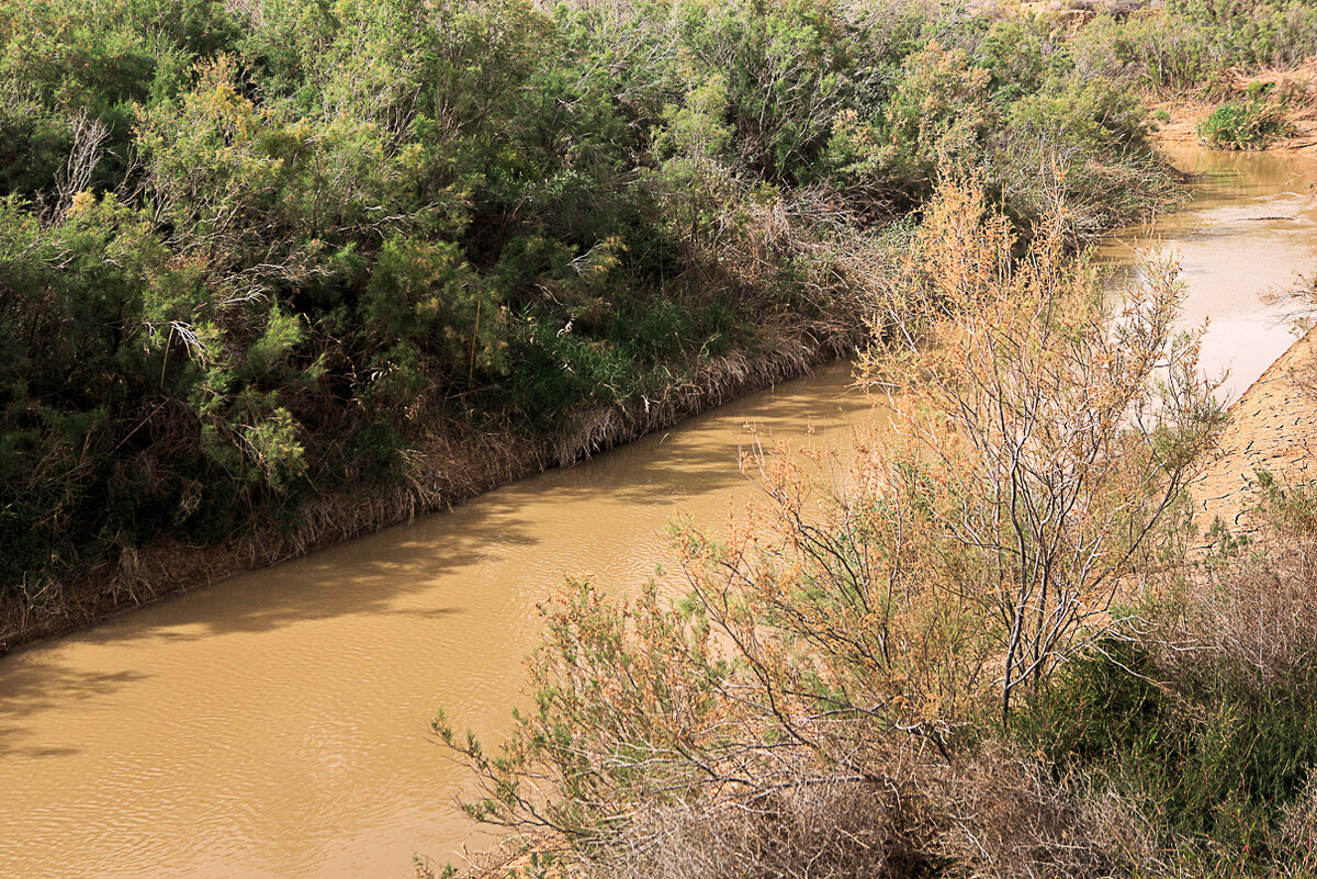 Приснилась вода река. Река Иордан мутная. Река Иордан грязная. Река Илистая. Мутная река.