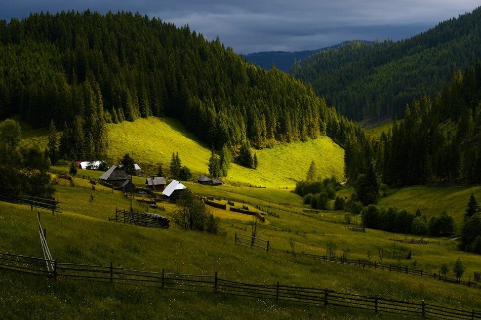 Гора Буковина Карпаты