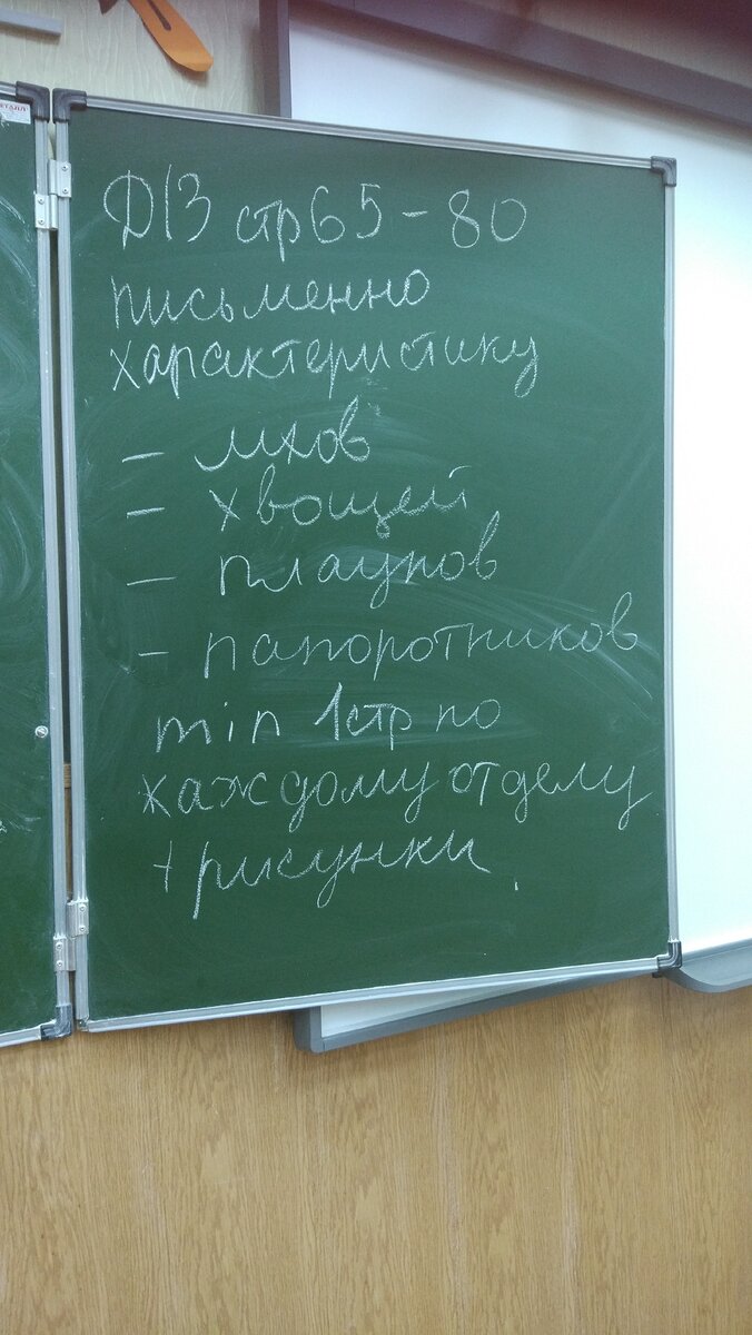 Имеет ли право учитель снижать оценку за почерк? | ВШКОЛЕ | Дзен