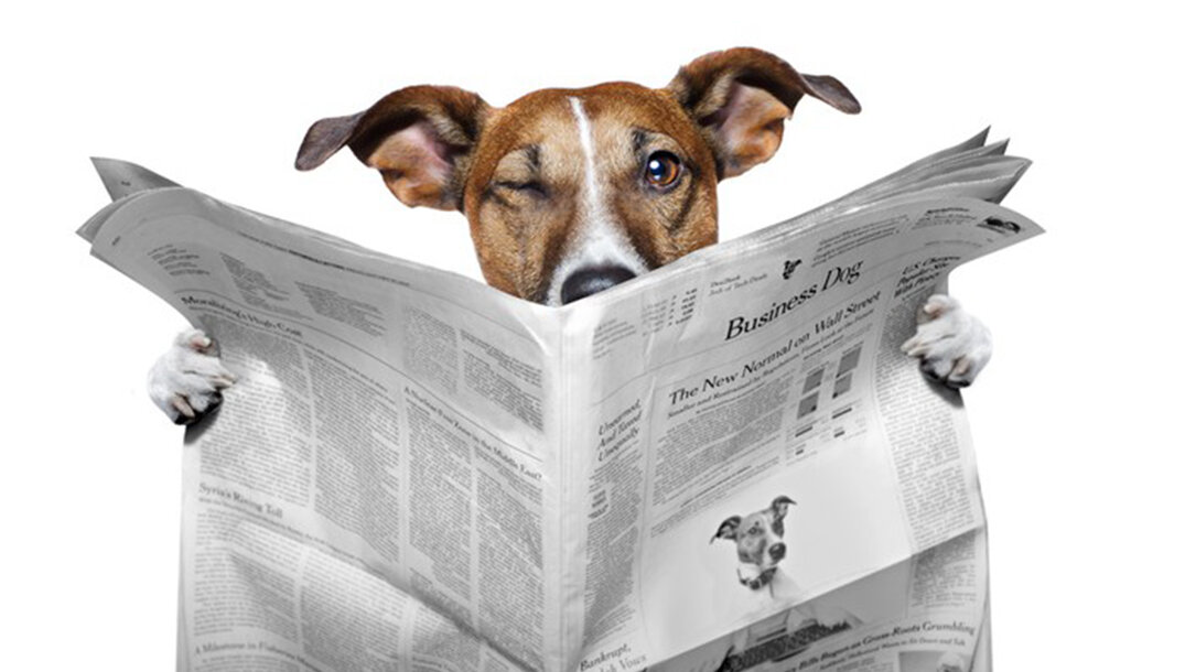 О сложном простыми словами