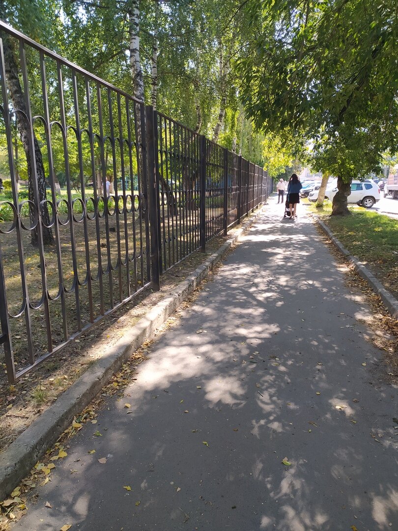 Наша дорога в школу. Личное фото