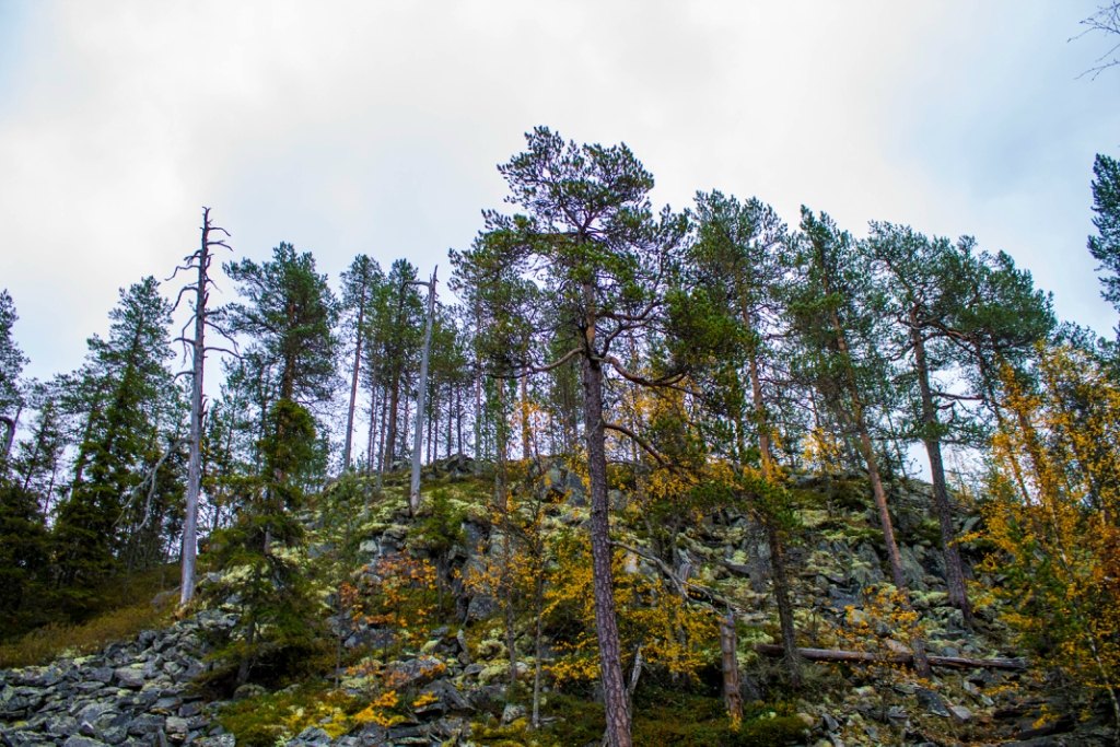 Фото автора блога