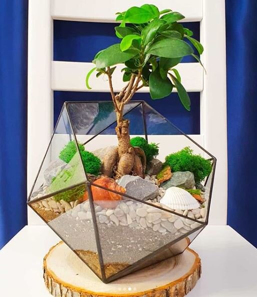 Такой флорариум у меня стоит 3500р