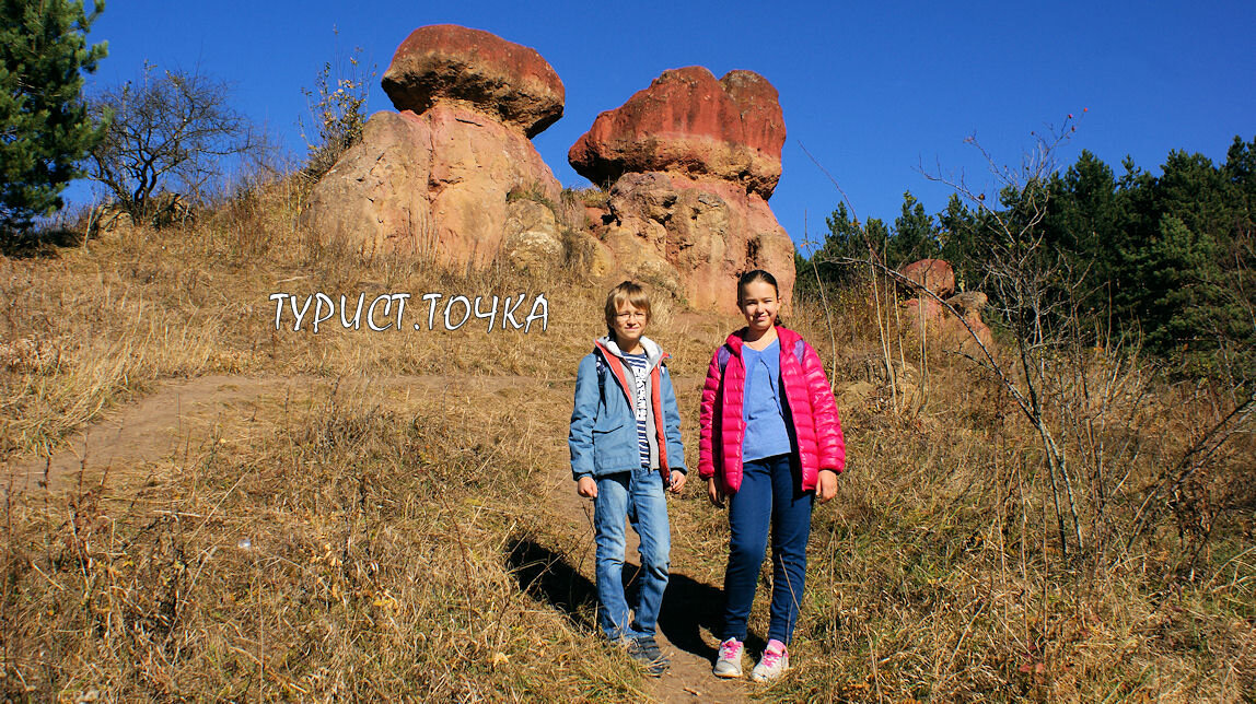 Настоящий метр. Дорога в красные грибы Кисловодск. Синие грибы Кисловодск.