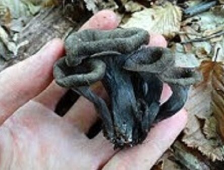 Все фото из сети