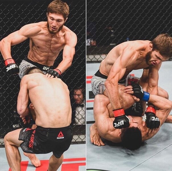 Нурмагомедов решил работать до финиша чётко и слаженно.  фото: картинки яндекса.