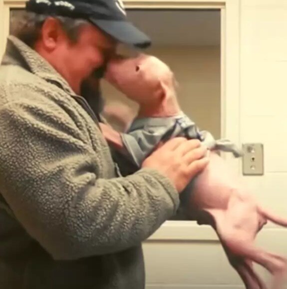 Джои и Моджи