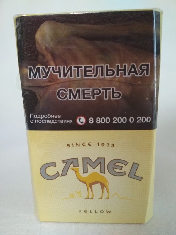 Кэмел желтый сигареты. 2024 Пачка Camel Yellow. Сигареты Camel Yellow 1913. Пачка сигарет кэмел желтый. Сигареты кэмел желтый.