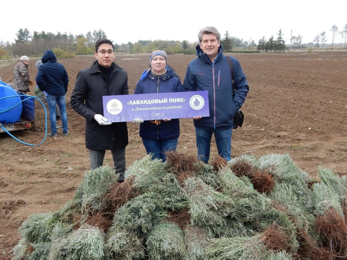 Село РЮМШИНО Джанкойского района