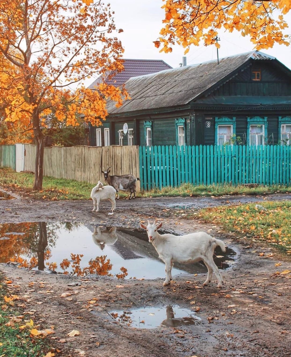 Австрийская деревня осень