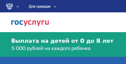 Скриншот с сайта Госуслуг
