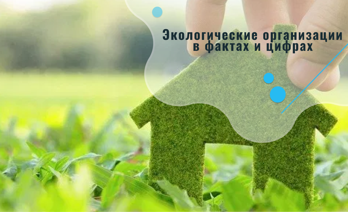 Экологические организации мира в фактах и цифрах