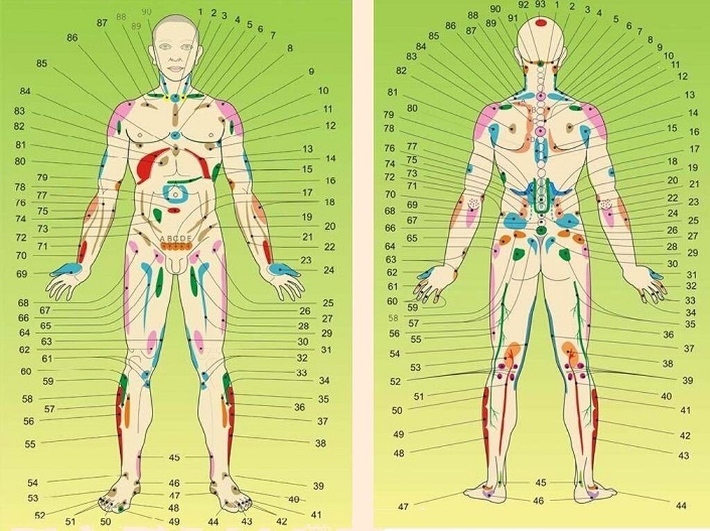 Точки на теле человека. Зоны кожной гиперестезии Захарьина Геда. Зоны кожной гипертензии Захарьина-Геда. Зоны Захарьина-Геда схема. Проекционные зоны Захарьина-Геда.