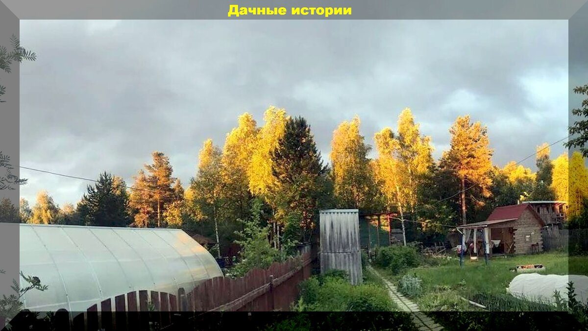https://vk.com/photo-159774511_457249460
