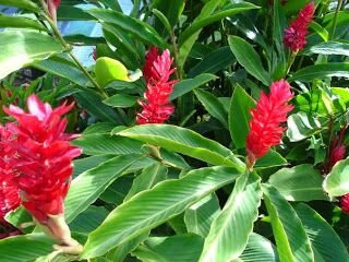 Яндекс картинки