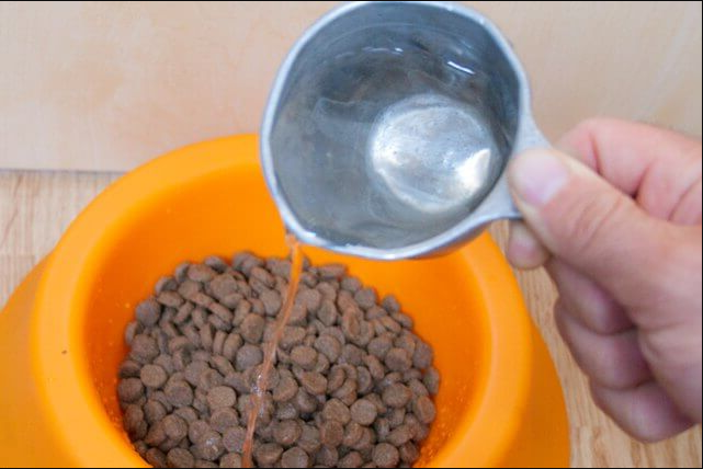 Сухой корм размоченный водой. Как сделать собачий корм своими руками. Как правильно размачивать сухой корм для кошек. Как делается сухой корм. Можно ли размачивать сухой корм водой щенкам.