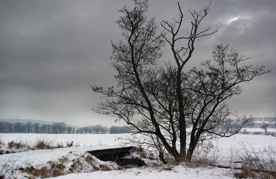 Фото — yandex.net