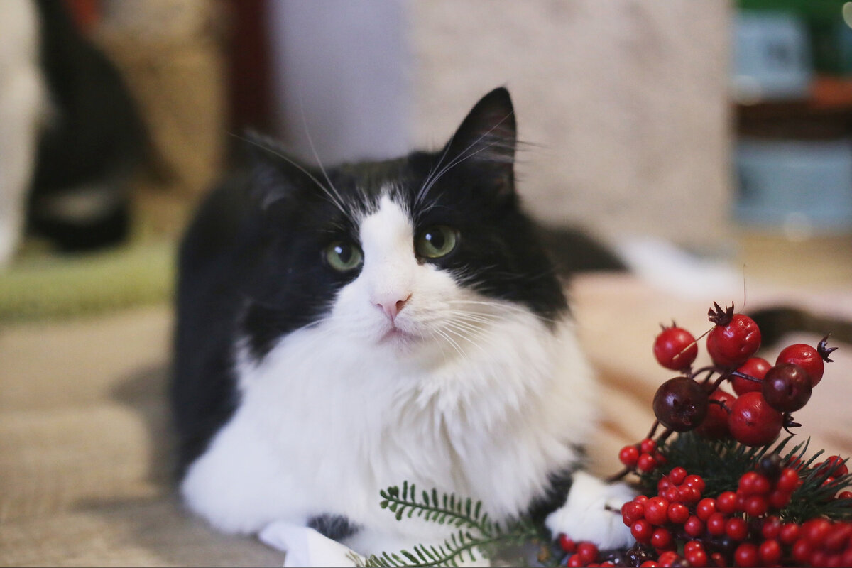 Фото автора. Фимочка