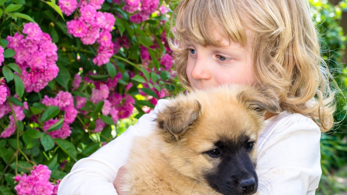 Как расти с домашними животными и что наши любимцы сделают для наших детей | Grand Ma | Дзен
