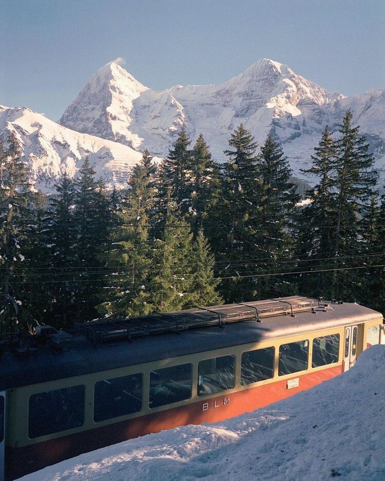 Фотография сделанная на пленку Фуджи