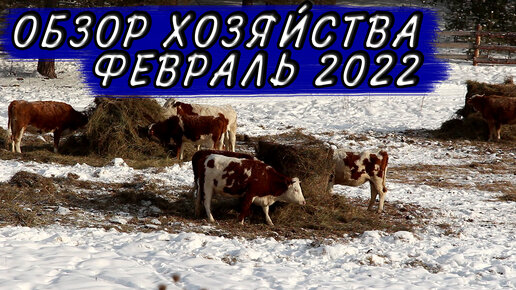 Обзор нашего хозяйства на февраль 2022 года!