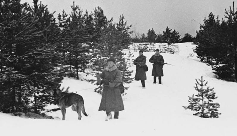 Советские пограничники на границе с Финляндией (фото из Яндекс. Картинки)