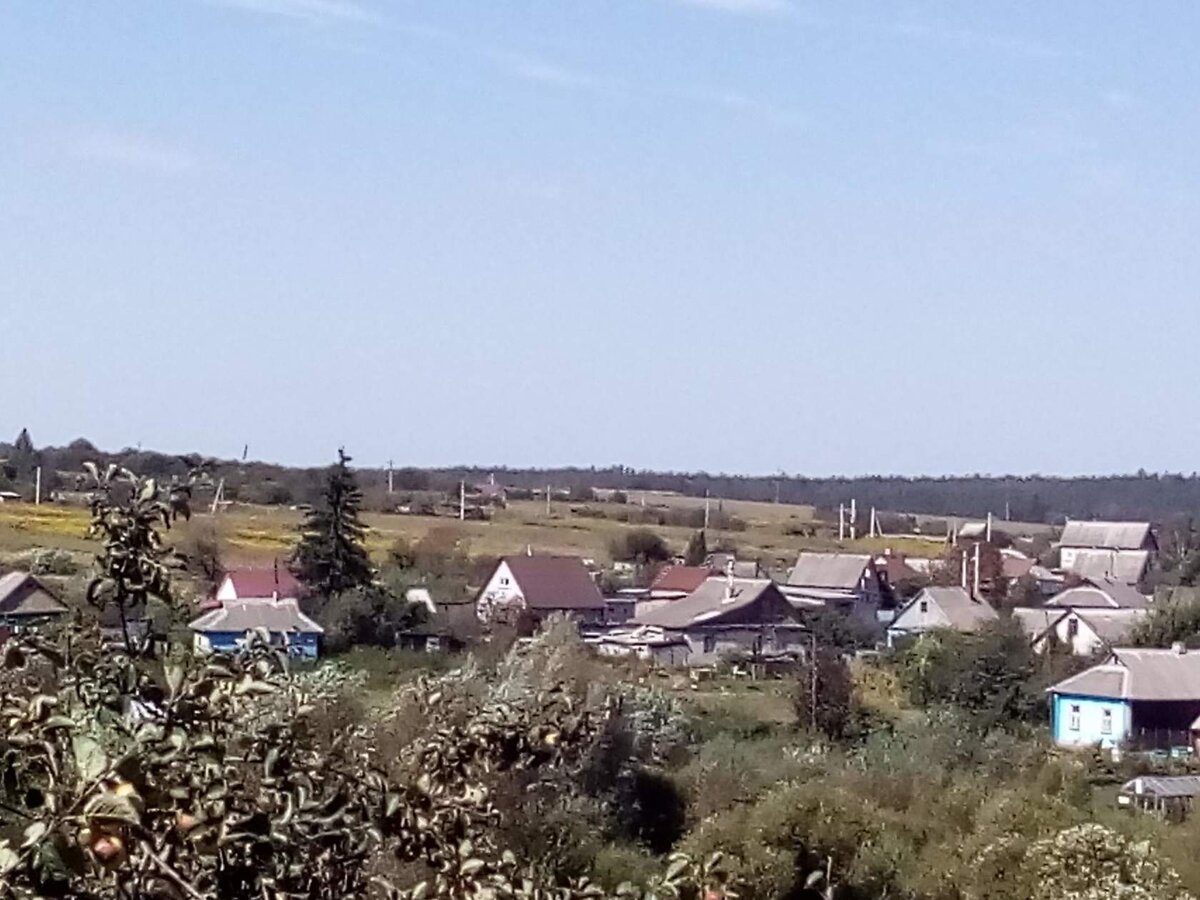 вид с балкона дачного домика. Фото автора.