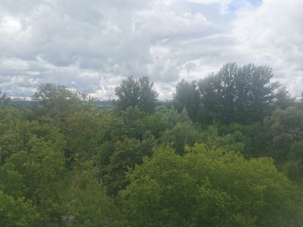 Фото автора канала. Вид из окна моей палаты в отделении патологии. В ожидании кс.