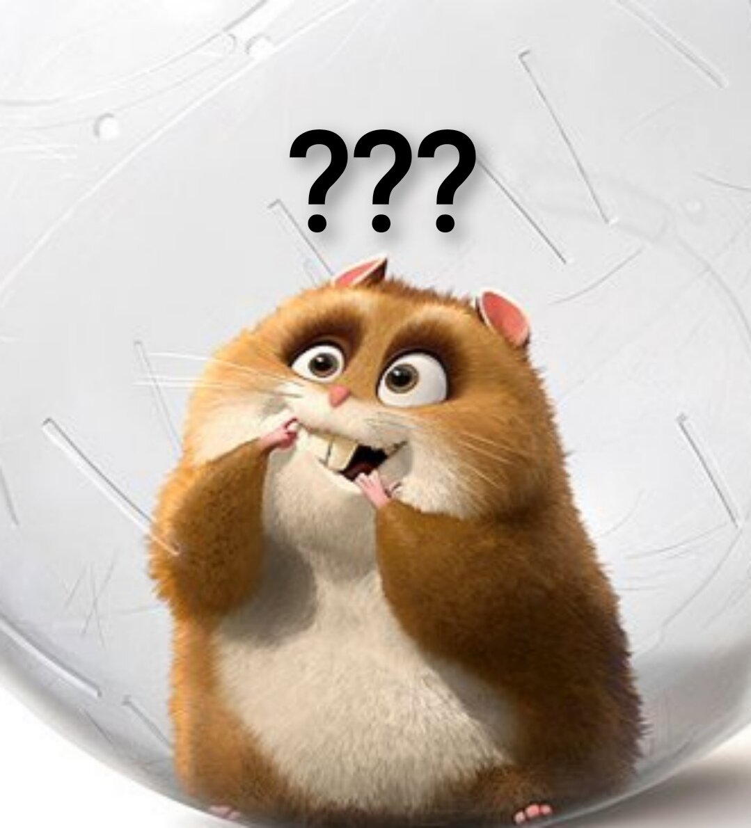 Хомяк в состоянии замешательства 