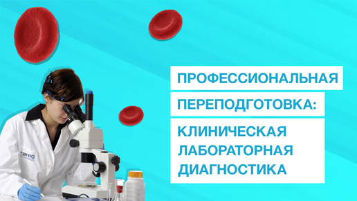 Какие специалисты востребованы всегда? Получение специальности 