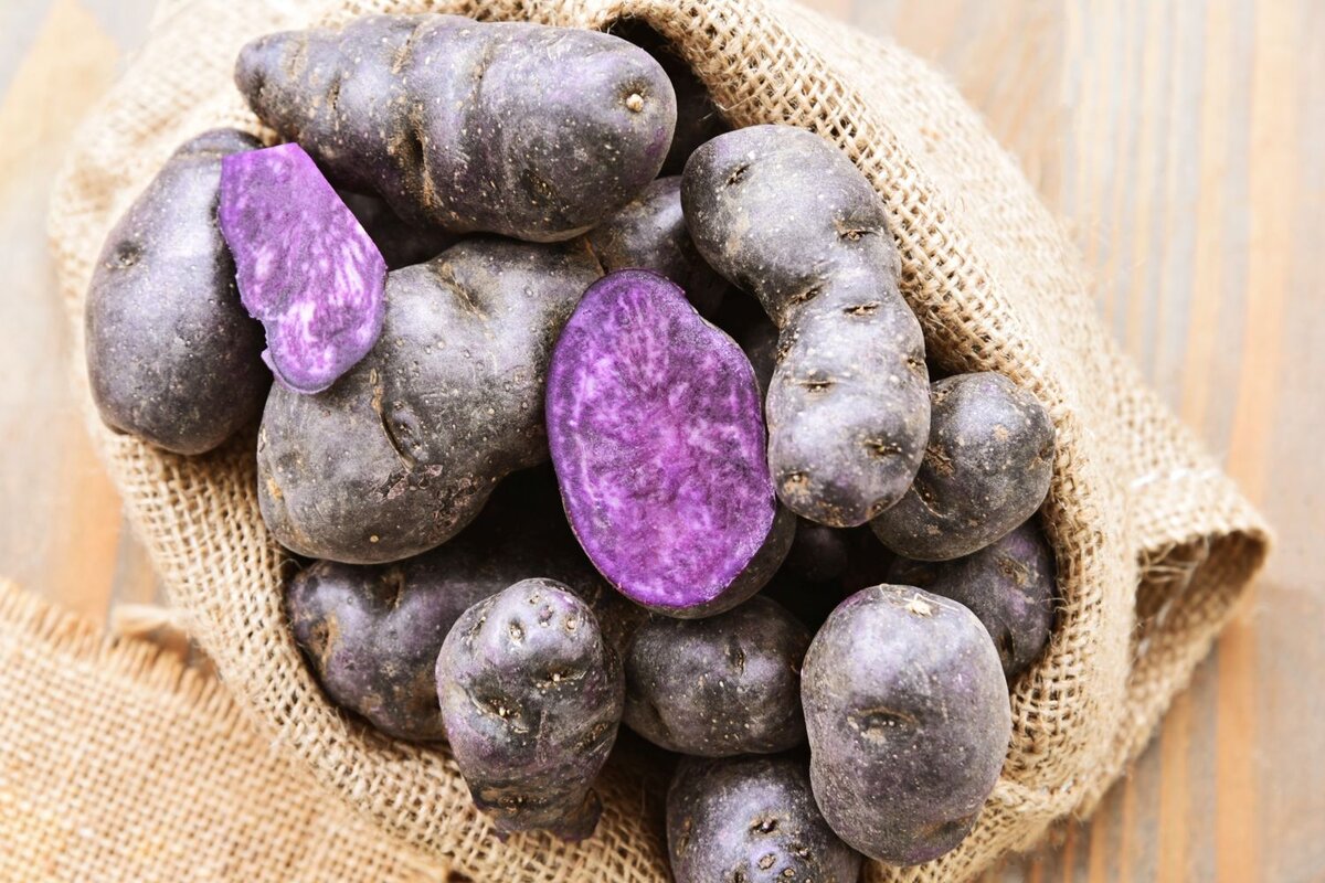 картофель майами
