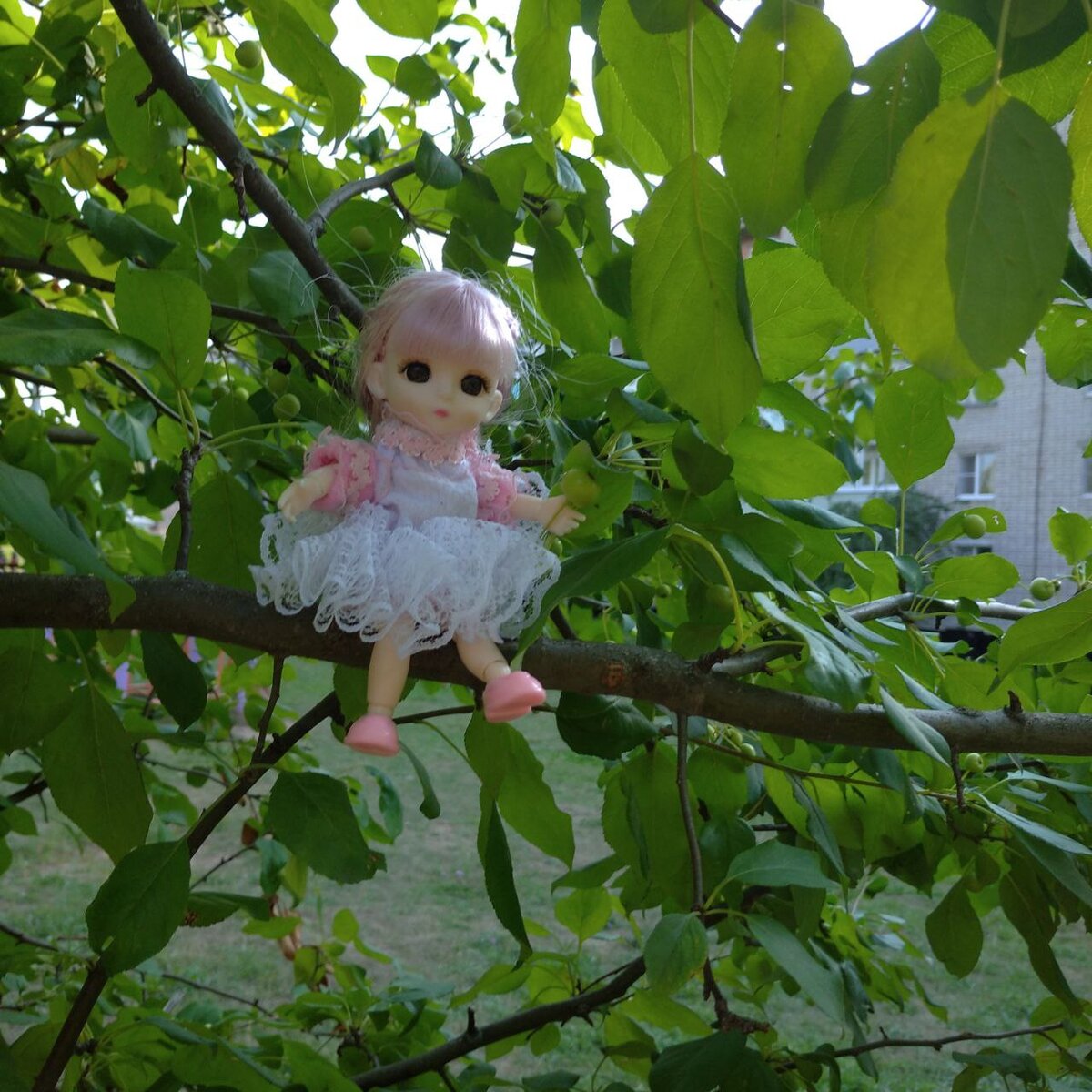 личное фото