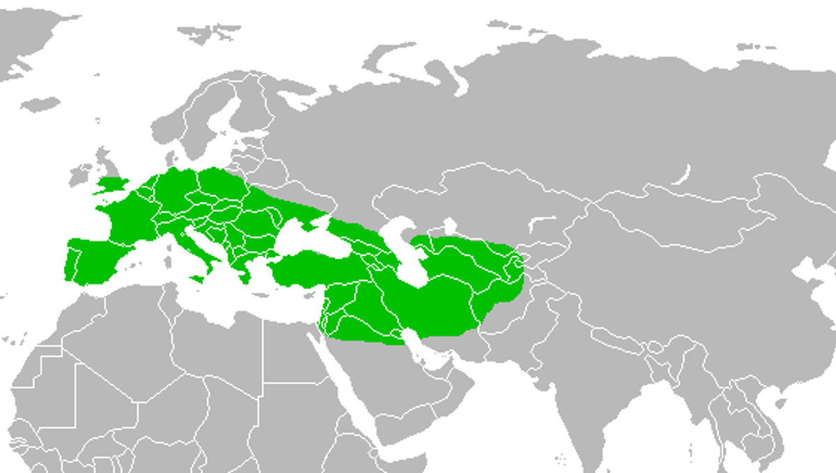 Ареал обитания неандертальцев