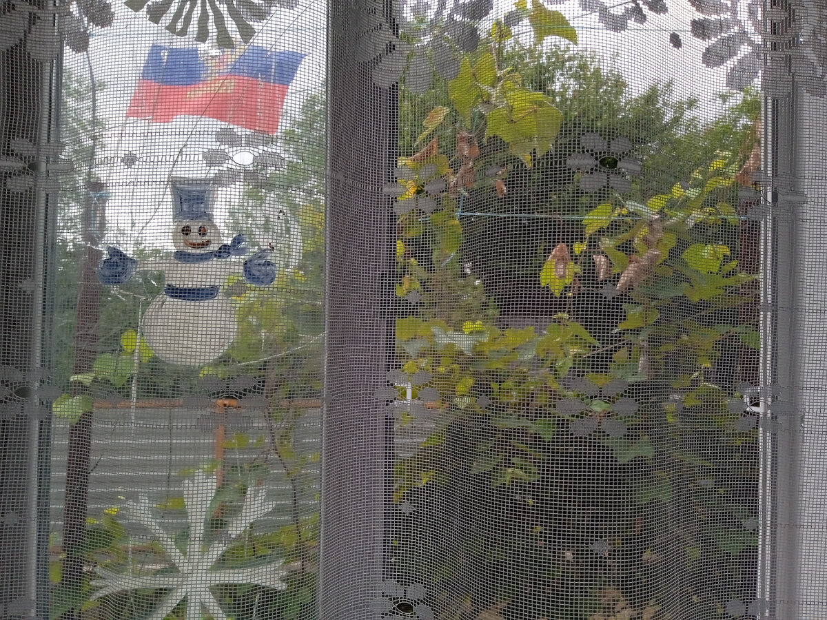 Вот такой теперь вид из окна в нашем доме - прошлогодние снежинки и снеговик на разбитом стекле (которых я не успела смыть до войны) и флаг России, который я повесила в первый же день. 