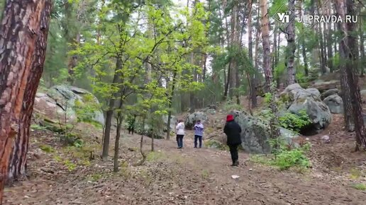 Симбирская кругосветка. В каких краях живут великаны, и где дракон охраняет древний город