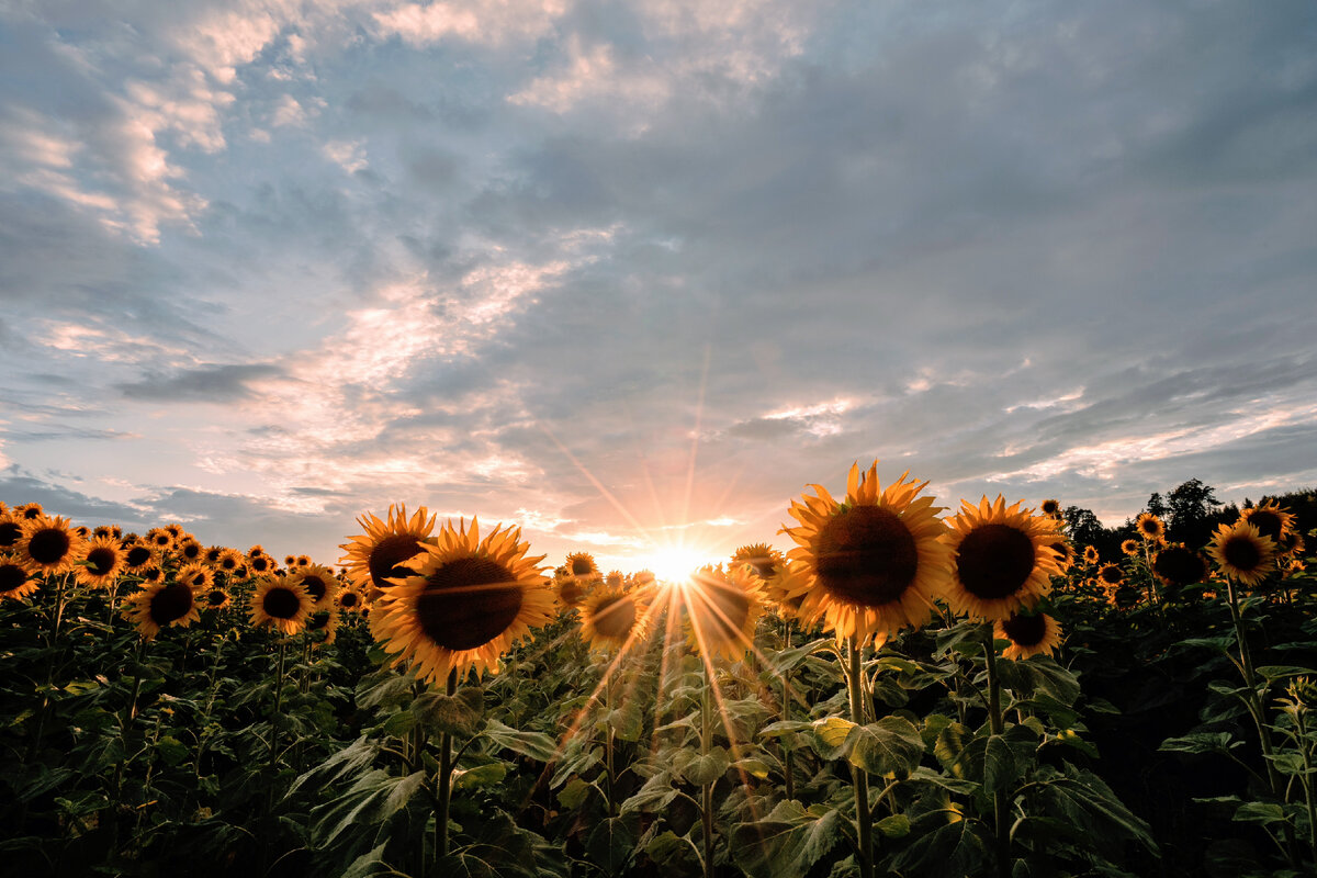 unsplash.com