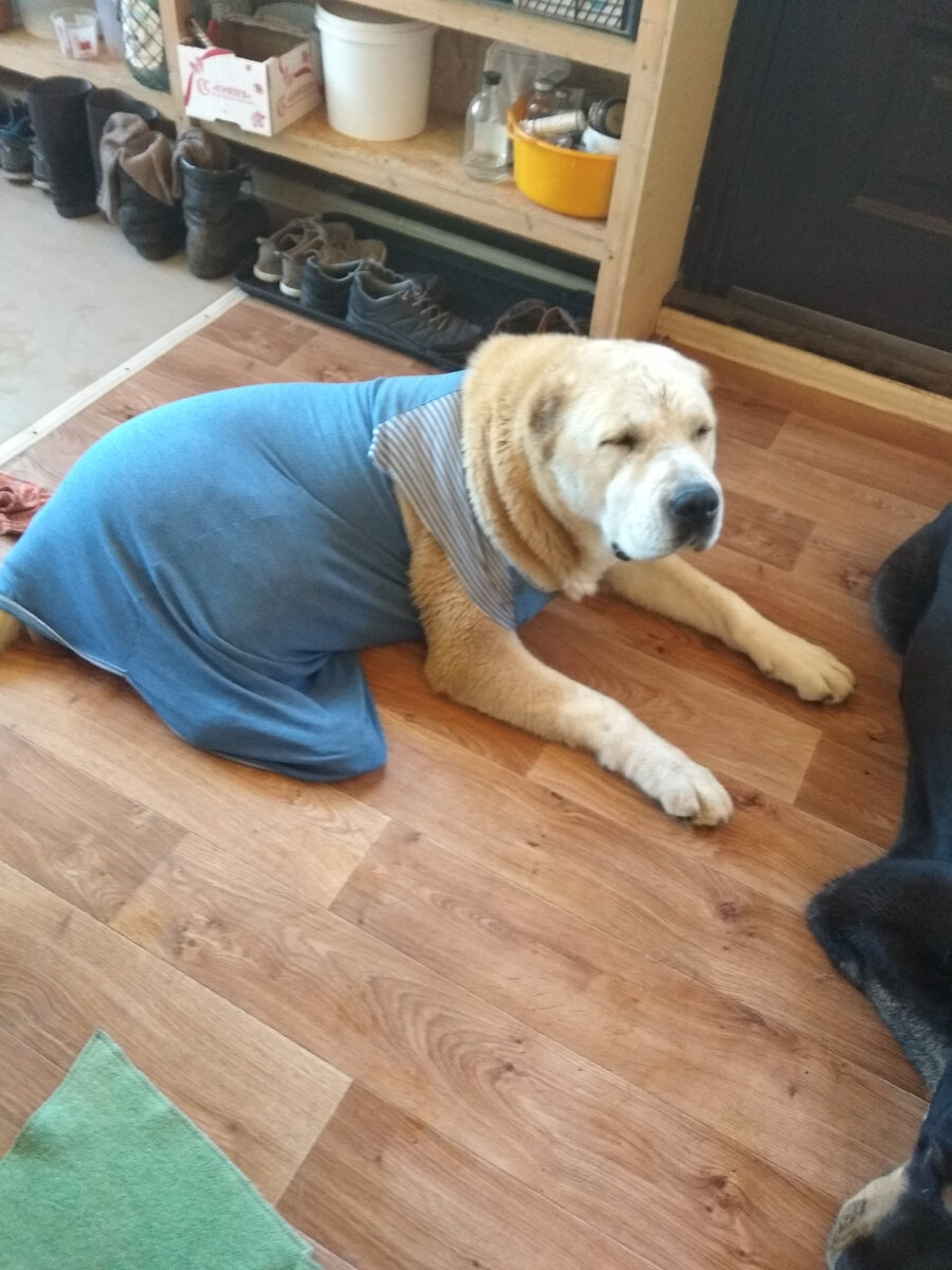 Готовимся к выставке