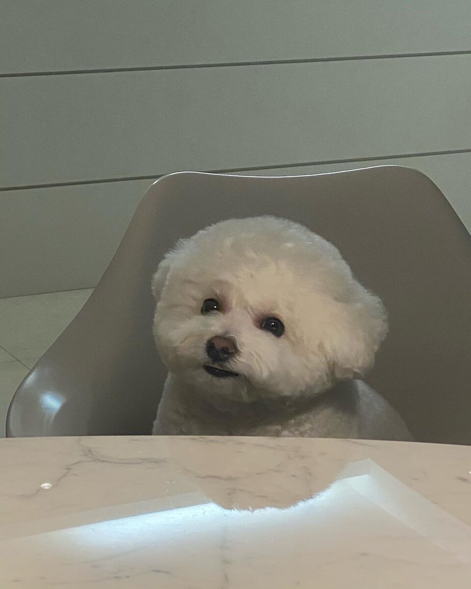 Симба позирует