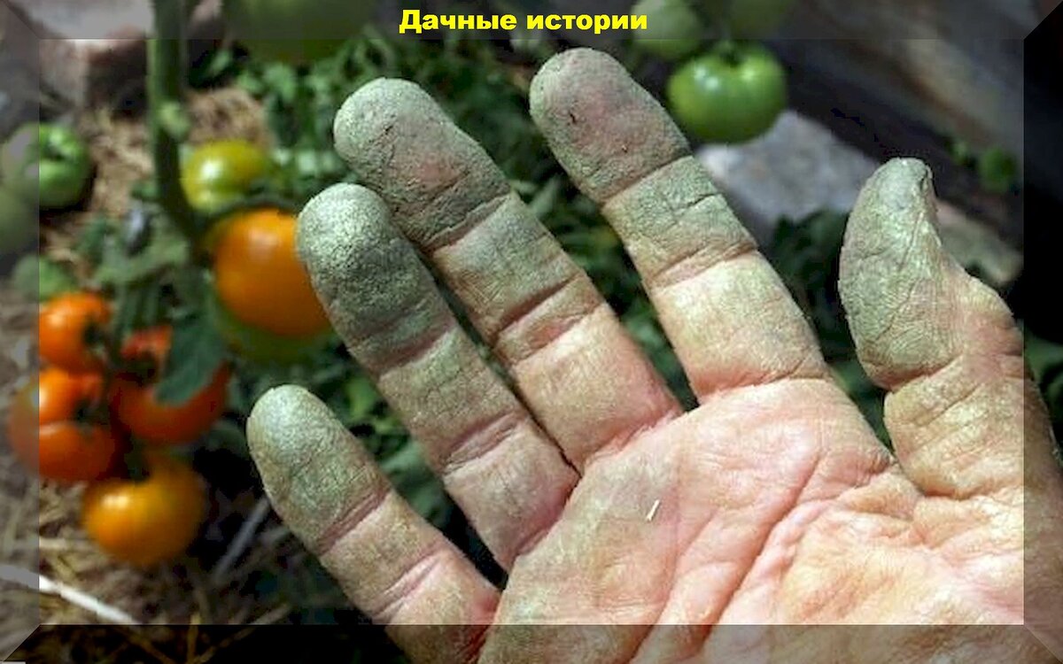 https://vk.com/photo-159774511_457261480