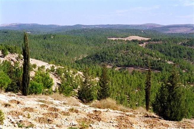 Лес Ятир / изображение set-travel.com