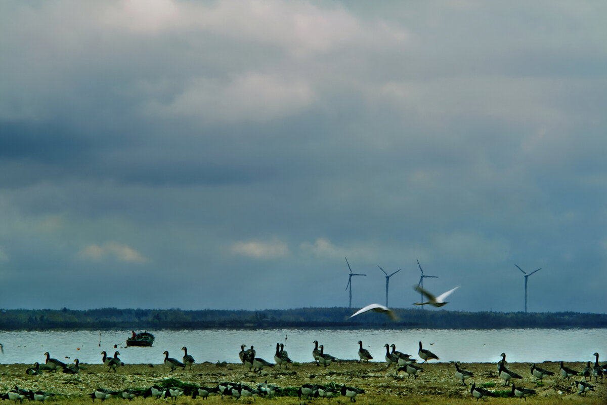 Фото: Aleksander Kaasik / GeoPhoto