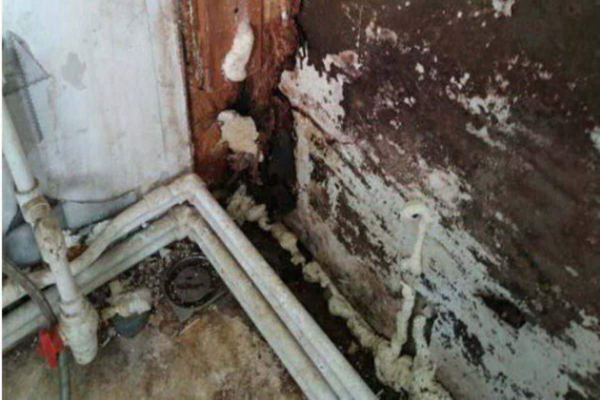    Бывших детдомовцев на Ставрополье заселили в комнаты с плесенью