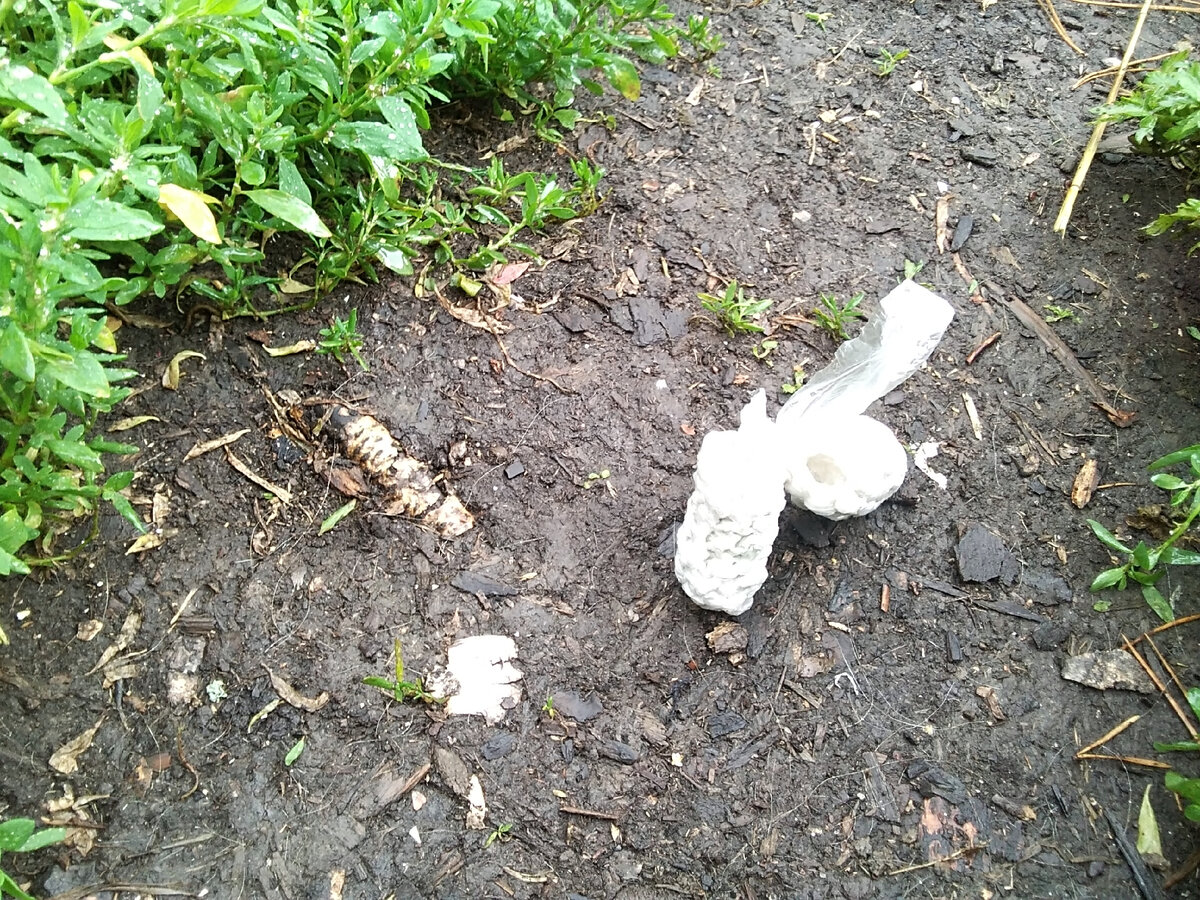 Блудные ножки пришли обратно!😂