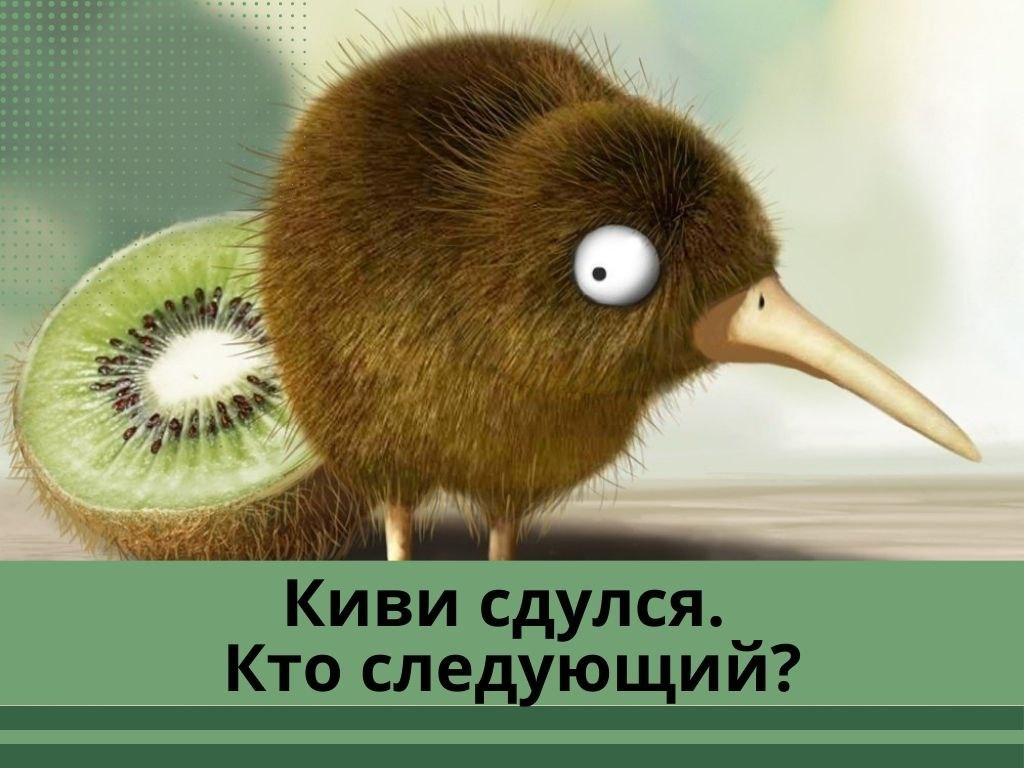 Источник Canva.com