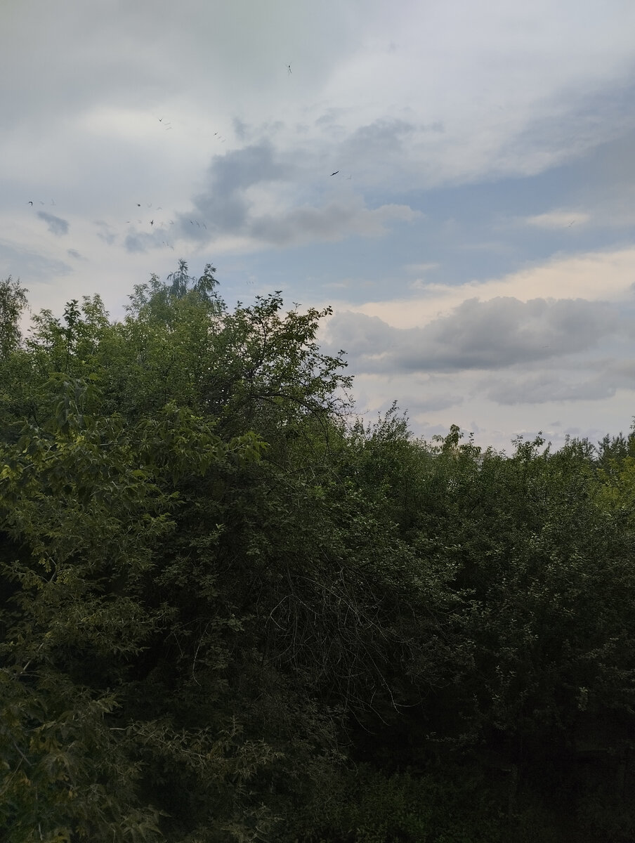 Фото авторские