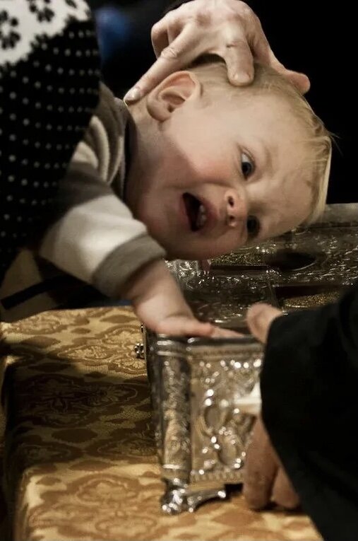 Источник фото Яндекс картинки 