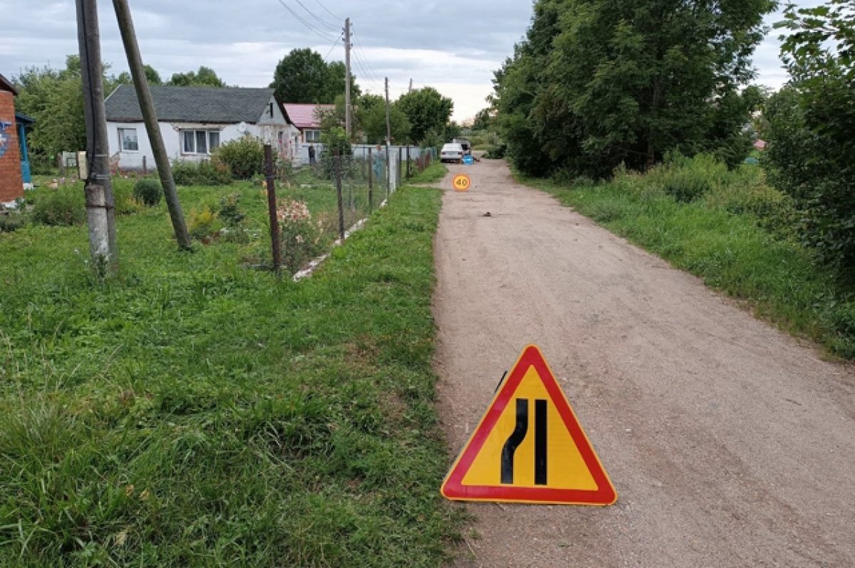    Мужчину, сбившего двух девочек под Гусевом, взяли под стражу