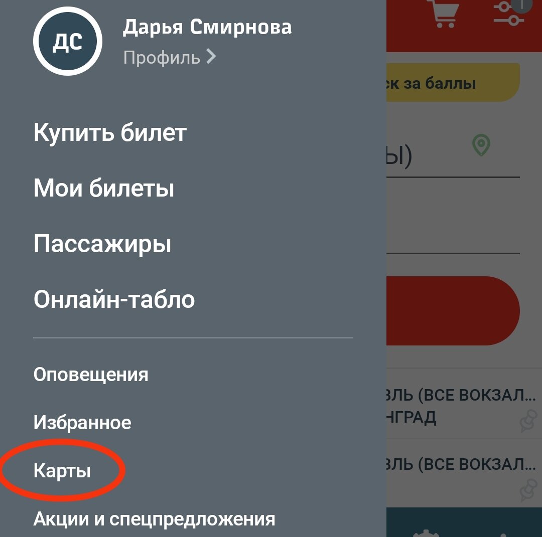 Бесплатный билет на поезд от РЖД Бонус. Как накопить и потратить баллы. +  Личный опыт. | Авито-Миллионер | Дзен