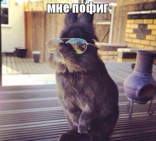 Картинка из открытого доступа
