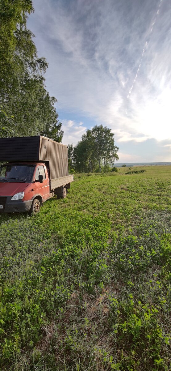 Лес и поле в Нижегородской области